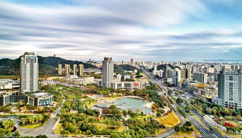 在上海,遇見不一樣的臺州