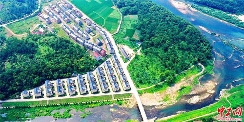 浙江臺州 美麗鄉(xiāng)村綠蔭環(huán)繞